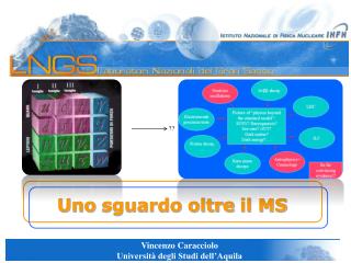 uno sguardo oltre il ms