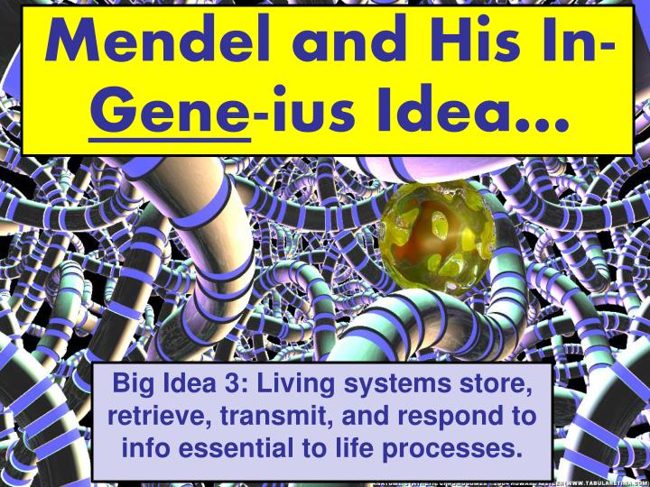 mendel and his in gene ius idea