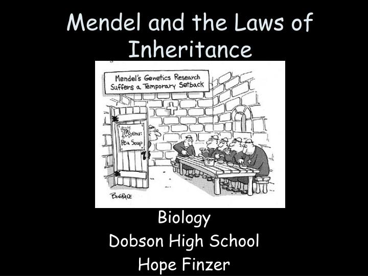 mendel and the laws of inheritance