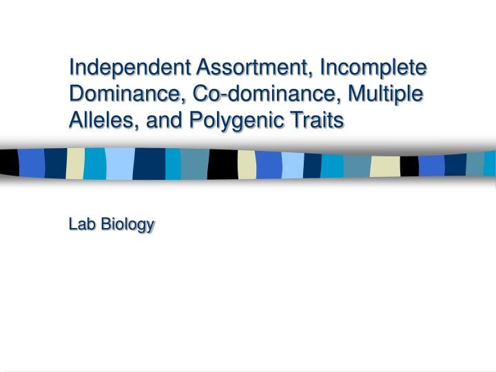 independent assortment incomplete dominance co dominance multiple alleles and polygenic traits