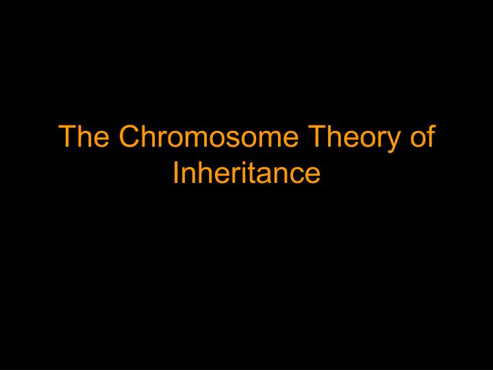 the chromosome theory of inheritance