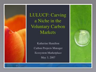 LULUCF: Carving a Niche in the Voluntary Carbon Markets