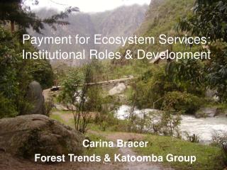 Payment for Ecosystem Services: Institutional Roles &amp; Development