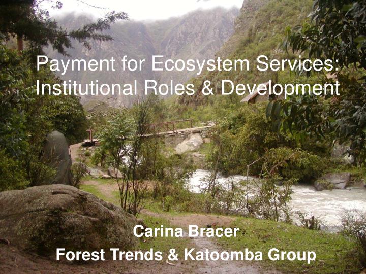 payment for ecosystem services institutional roles development