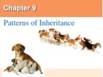 Chapter 9 - slide 1