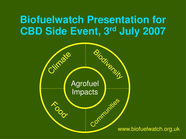 biofuelwatch presentation for cbd side event 3 rd july 2007