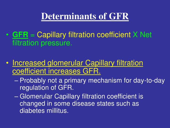 determinants of gfr