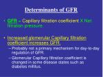 Determinants of GFR - slide 1