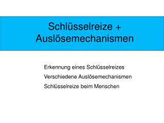 Schlüsselreize + Auslösemechanismen