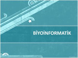 b yo nformat k