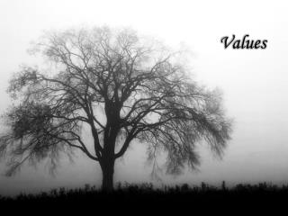 Values