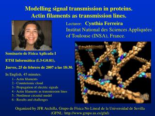 Modelling signal transmission in proteins. Actin filaments as transmission lines.