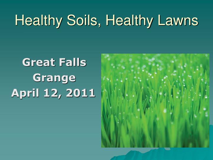 healthy soils healthy lawns