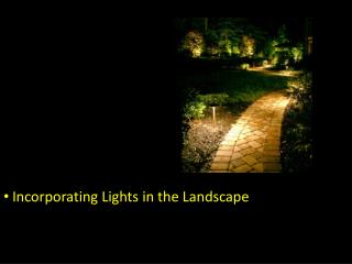 Incorporating Lights in the Landscape