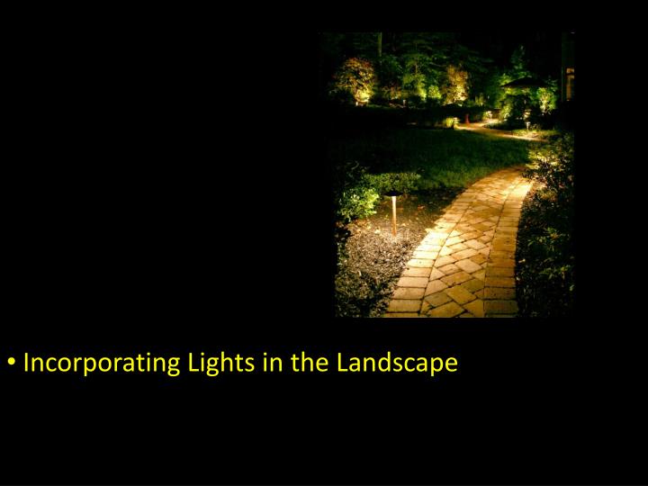 incorporating lights in the landscape
