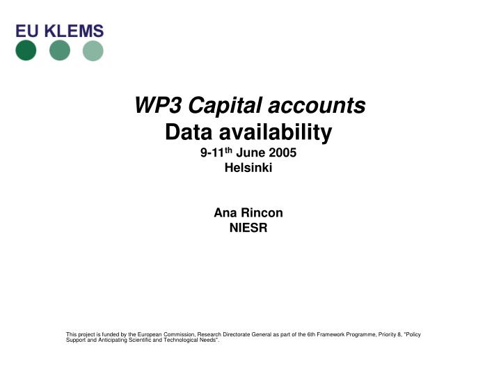 wp3 capital accounts data availability 9 11 th june 2005 helsinki ana rincon niesr