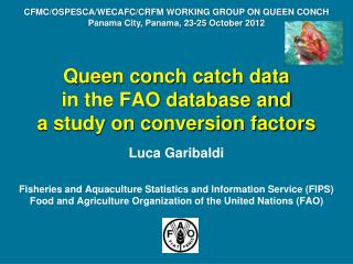 Queen conch catch data in the FAO database and a study on conversion factors