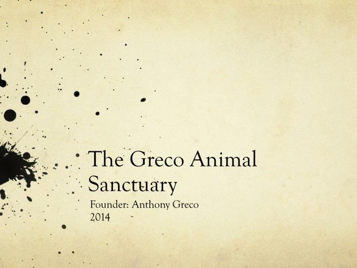 the greco animal sanctuary