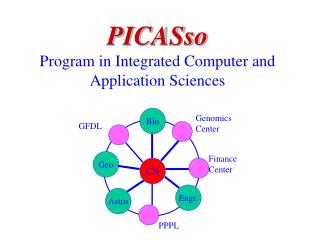 PICASso Program in Integrated Computer and Application Sciences