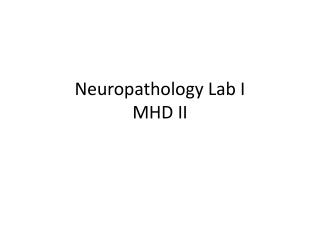 Neuropathology Lab I MHD II