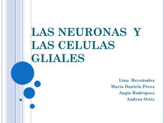 las neuronas y las celulas gliales