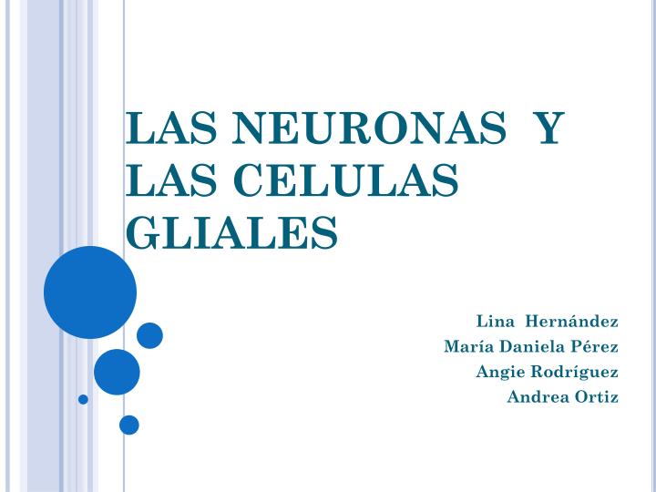 las neuronas y las celulas gliales
