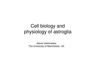 Cell biology and physiology of astroglia