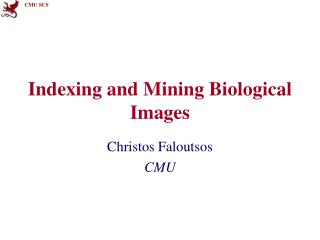 Indexing and Mining Biological Images