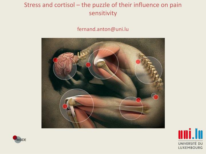 stress and cortisol the puzzle of their influence on pain sensitivity fernand anton@uni lu