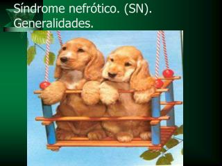 s ndrome nefr tico sn generalidades