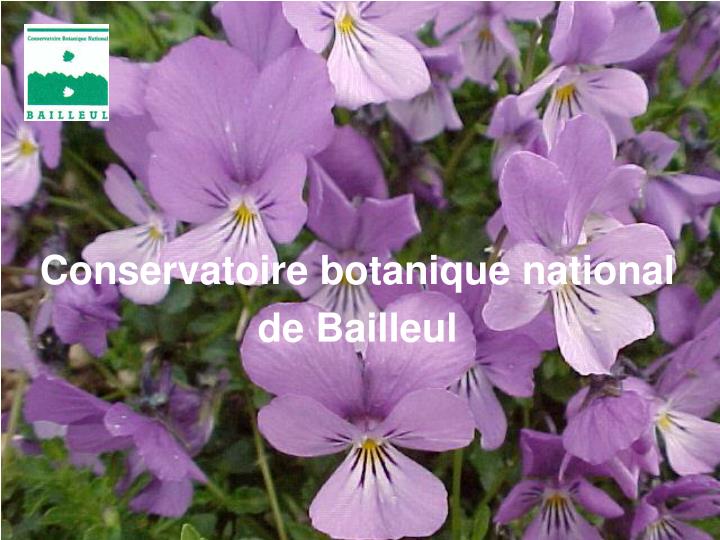 conservatoire botanique national de bailleul