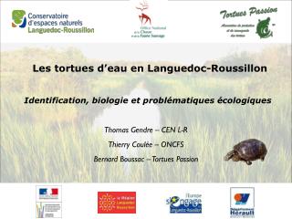 les tortues d eau en languedoc roussillon