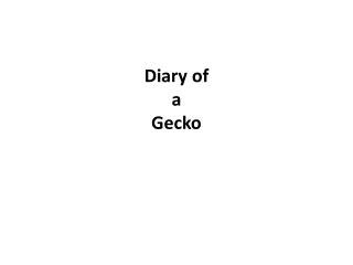diary of a gecko