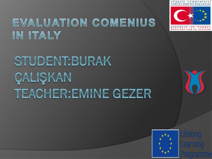evaluation comenius in italy