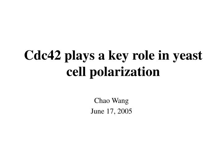 cdc42 plays a key role in yeast cell polarization