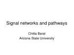 PPT - Structure and Function of Signal Pathways PowerPoint Presentation ...
