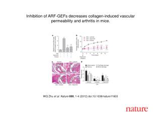 WQ Zhu et al. Nature 000 , 1-4 (2012) doi:10.1038/nature11603