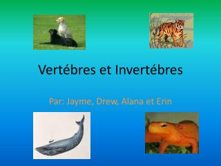 vert bres et invert bres