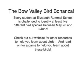 The Bow Valley Bird Bonanza!