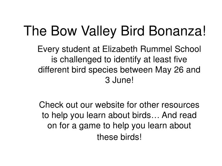 the bow valley bird bonanza