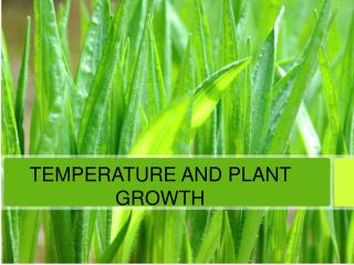 TEMPERATURE AND PLANT GROWTH