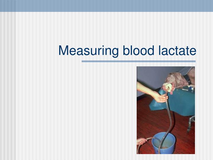 measuring blood lactate