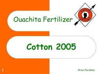 Cotton 2005