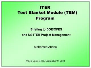 Test Blanket Module (TBM)