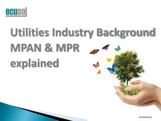 Utilities Industry Background MPAN &amp; MPR explained