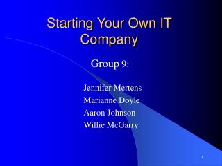 Starting Your Own IT Company
