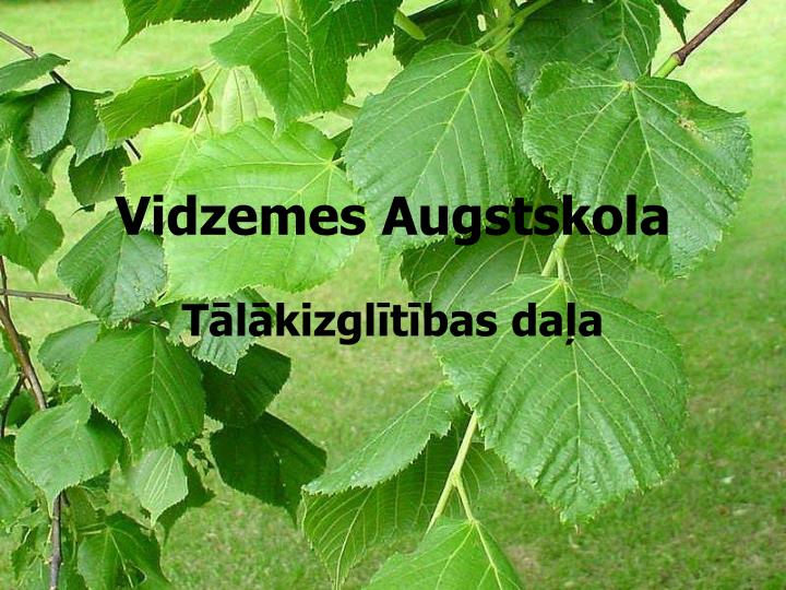 vidzemes augstskola