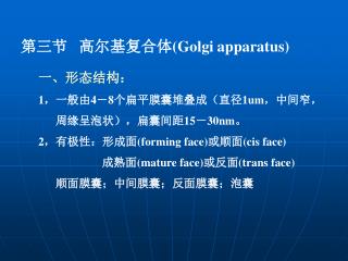 第三节 高尔基复合体 (Golgi apparatus)