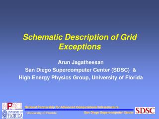 Schematic Description of Grid Exceptions