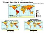 Figura 1. Diversidad de plantas vasculares - slide 1